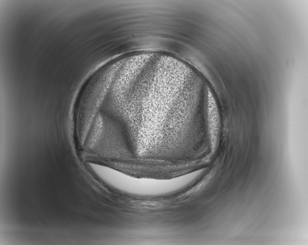 X0000088730787200706212038