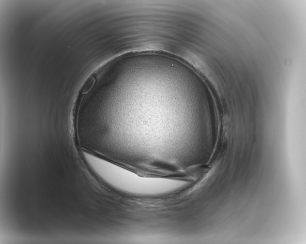 X0000088730789200706212038