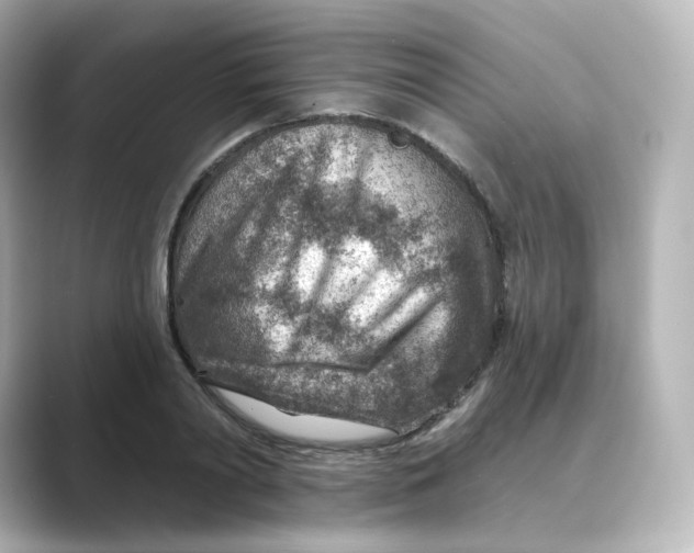 X0000088730790200706212038