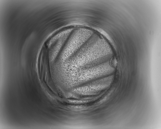 X0000088730791200706212038