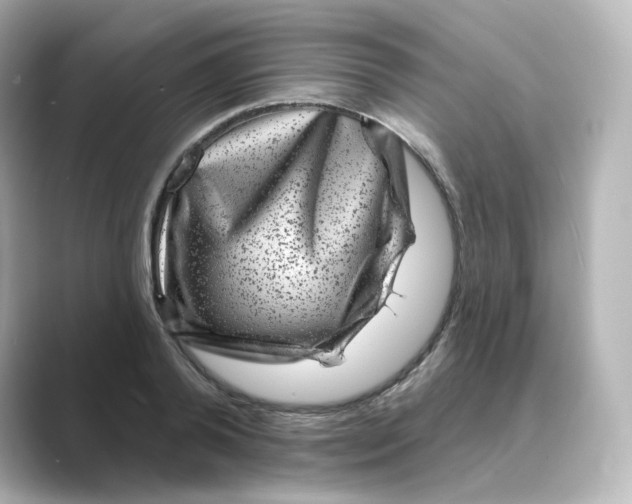 X0000088730792200706212038