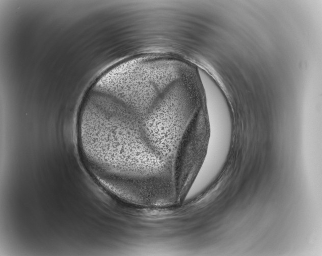 X0000088730795200706212038