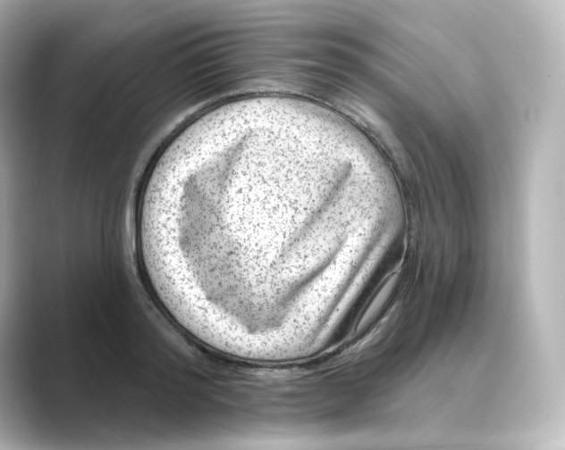 X0000088730796200706212038