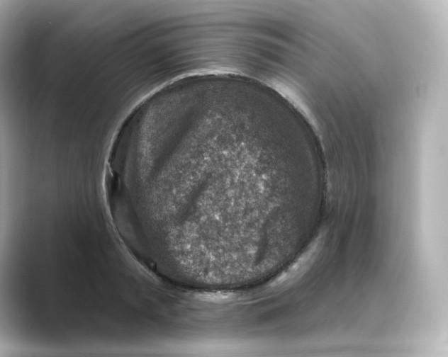 X0000088730797200706212038