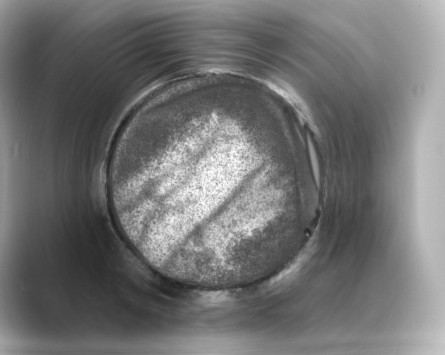 X0000088730798200706212038