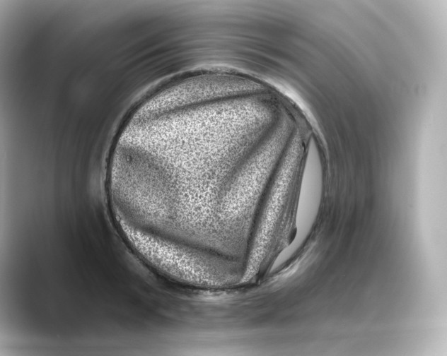 X0000088730799200706212038