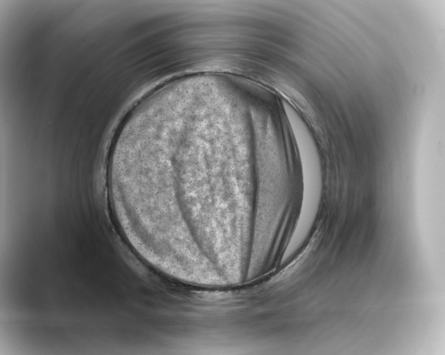 X0000088730800200706212038