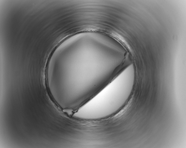 X0000088730802200706212038