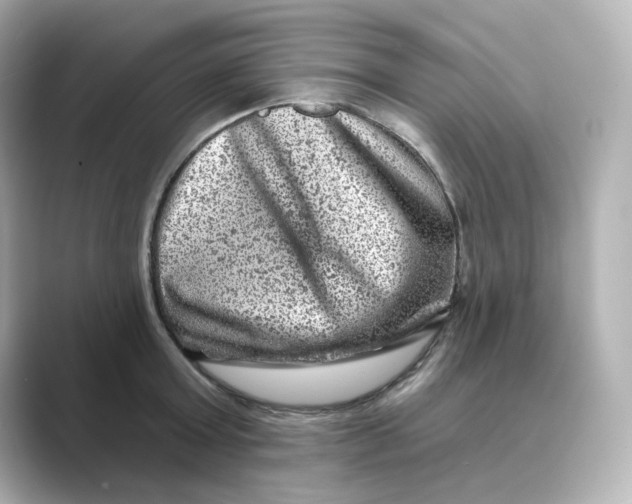 X0000088730803200706212038