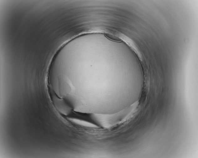 X0000088730805200706212038