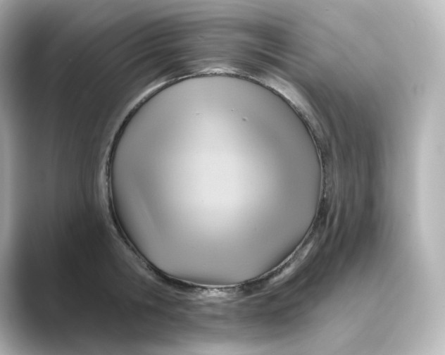 X0000088730806200706212038