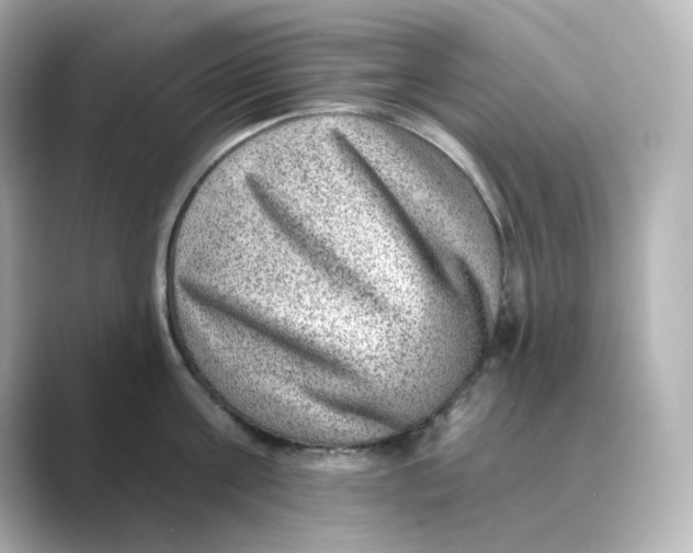 X0000088730811200706212038