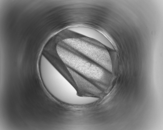 X0000088730813200706212038