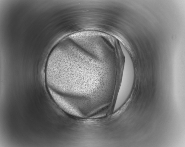 X0000088730814200706212038