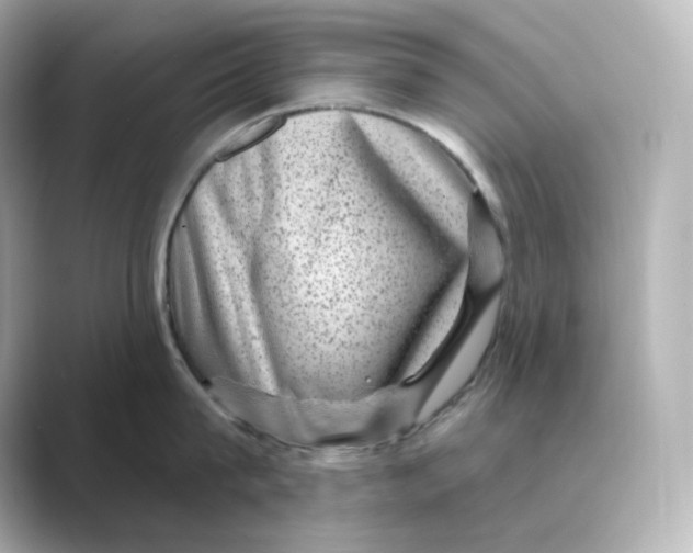 X0000088730815200706212038