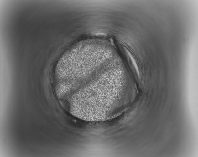 X0000088730817200706212037