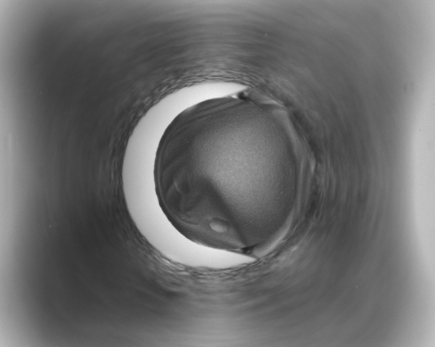 X0000088730818200706212037