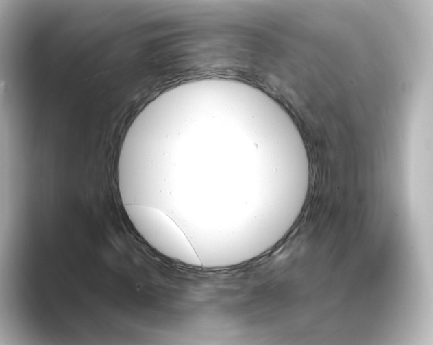 X0000088730820200706212037