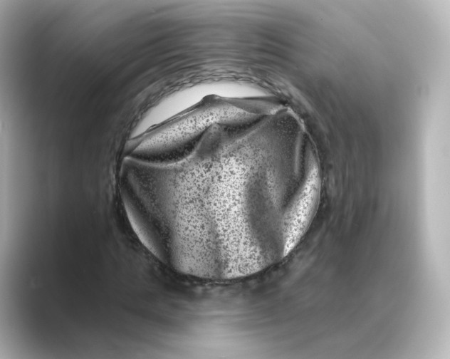 X0000088730821200706212037