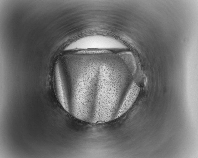 X0000088730822200706212037