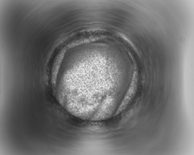 X0000088730823200706212037