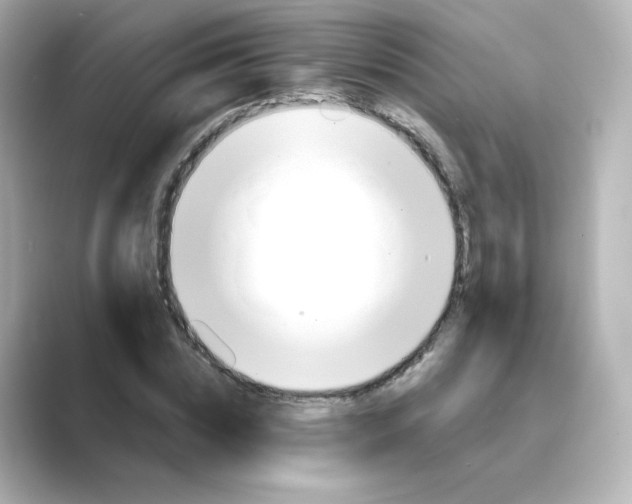 X0000088730828200706212037