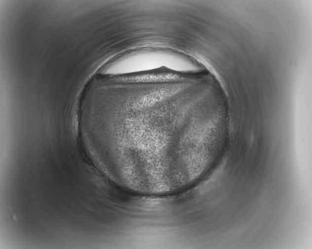 X0000088730829200706212037