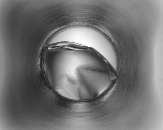 X0000088730830200706212037