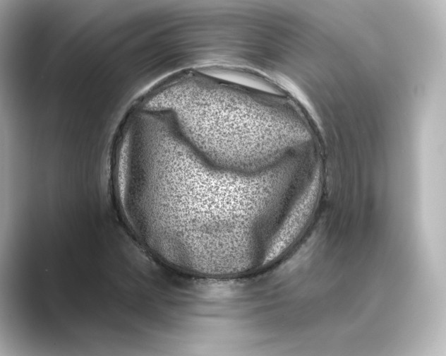 X0000088730831200706212037