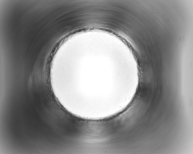 X0000088730832200706212037