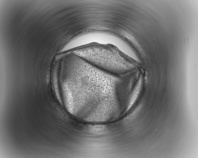 X0000088730833200706212037