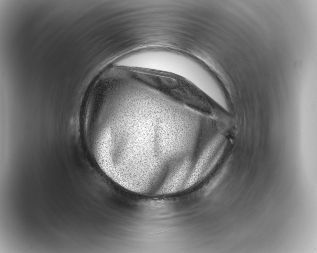 X0000088730834200706212037