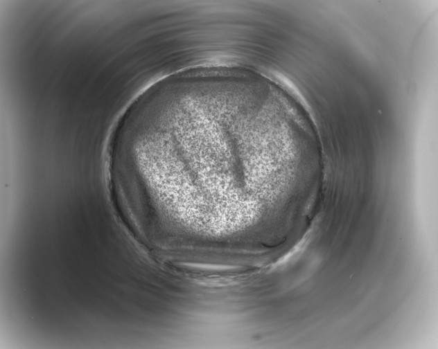 X0000088730835200706212037