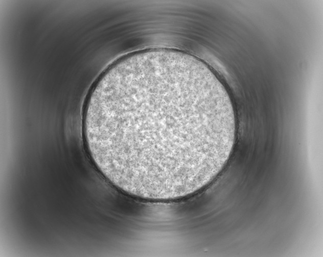 X0000088730836200706212037