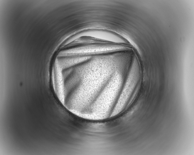 X0000088730837200706212037