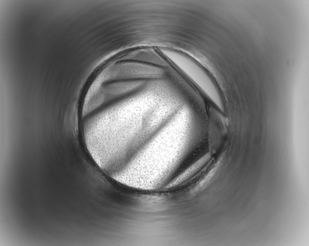 X0000088730838200706212037