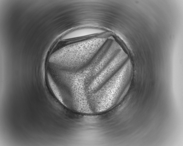 X0000088730840200706212037