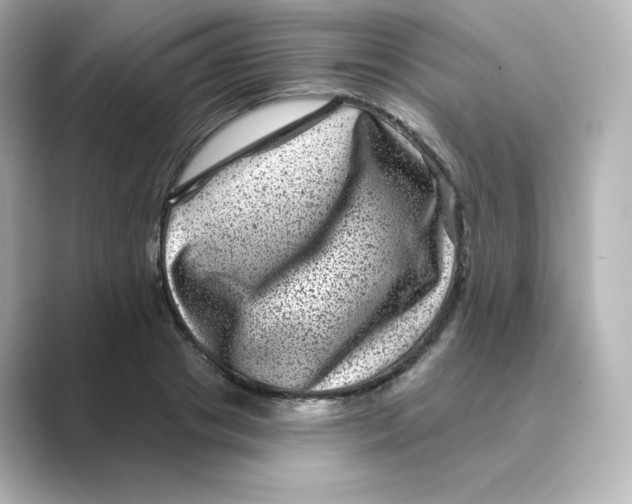 X0000088730841200706212037