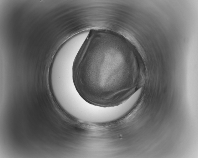 X0000088730842200706212037