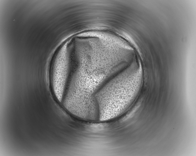 X0000088730843200706212037