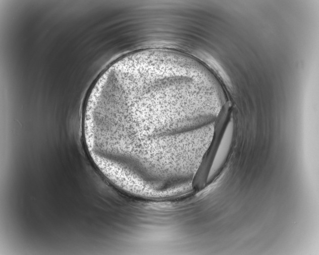 X0000088730844200706212037