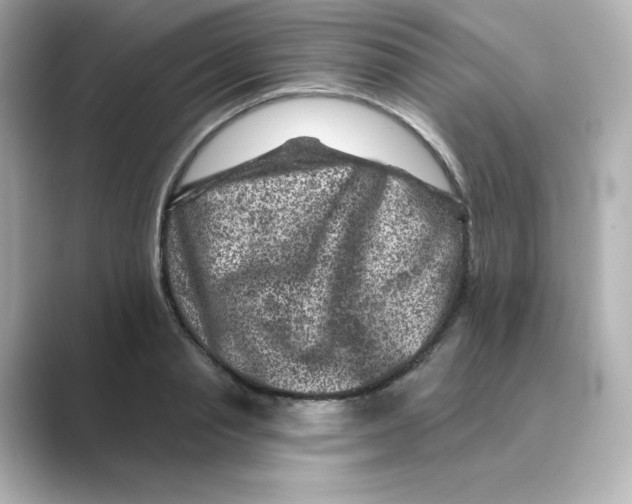 X0000088730845200706212037