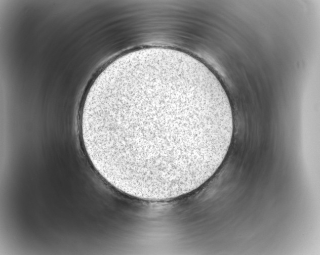 X0000088730848200706212037