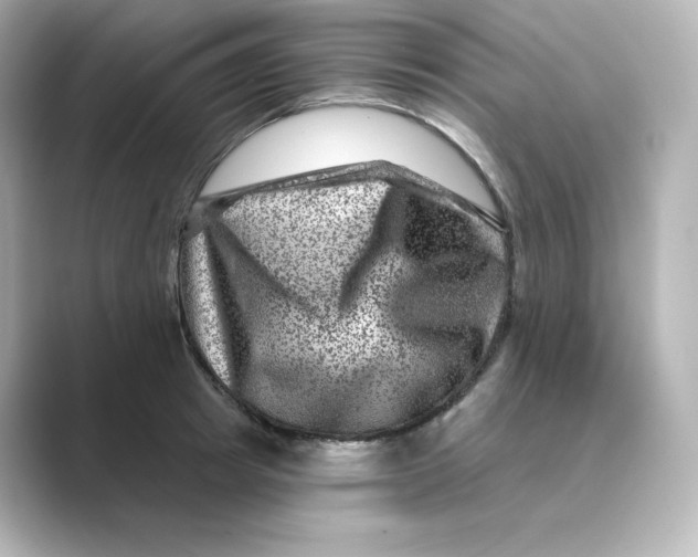 X0000088730849200706212037