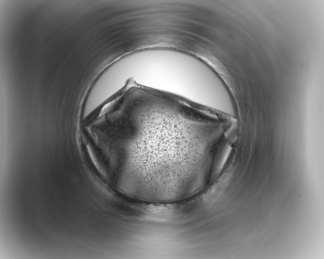 X0000088730850200706212037