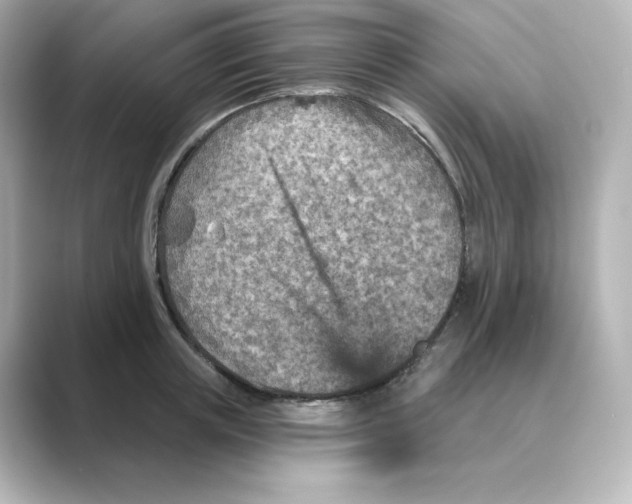 X0000088730851200706212037