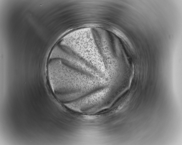 X0000088730852200706212037