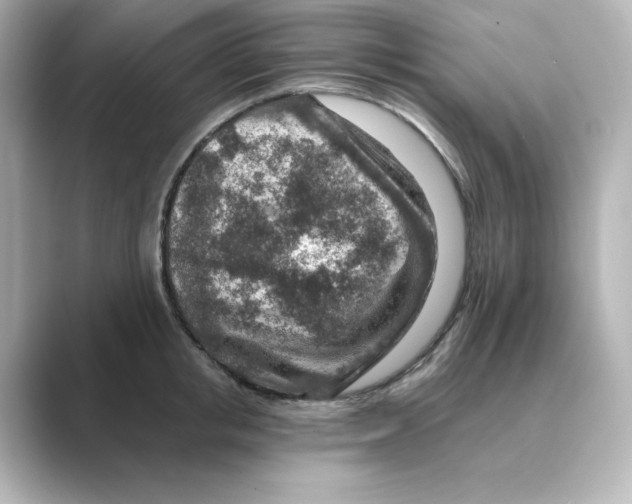 X0000088730853200706212037