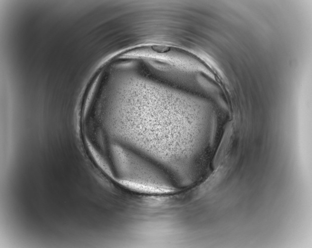 X0000088730854200706212037