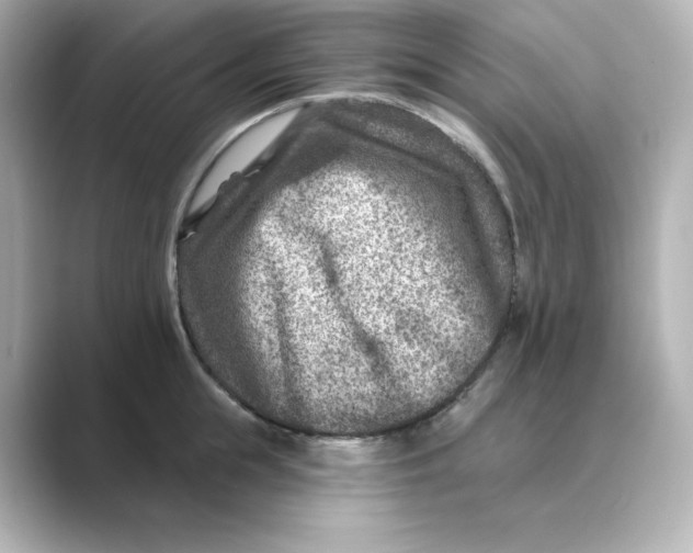 X0000088730855200706212037